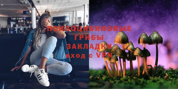 соль ск Абаза