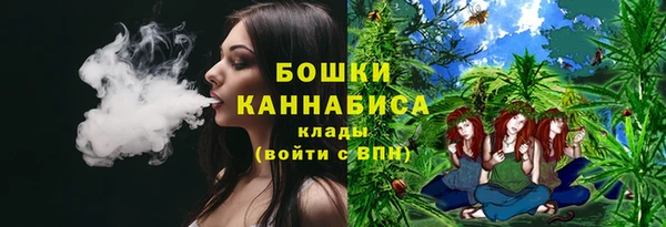 2c-b Алзамай