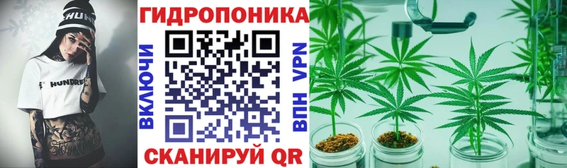 МАРИХУАНА ГИДРОПОН закладка Новотитаровская